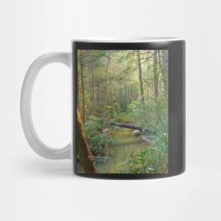 Mist-erious Mug